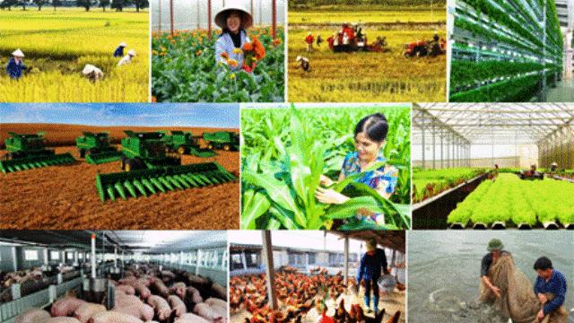 Đến 2025, thành lập mới 10.000 tổ chức kinh tế tập thể