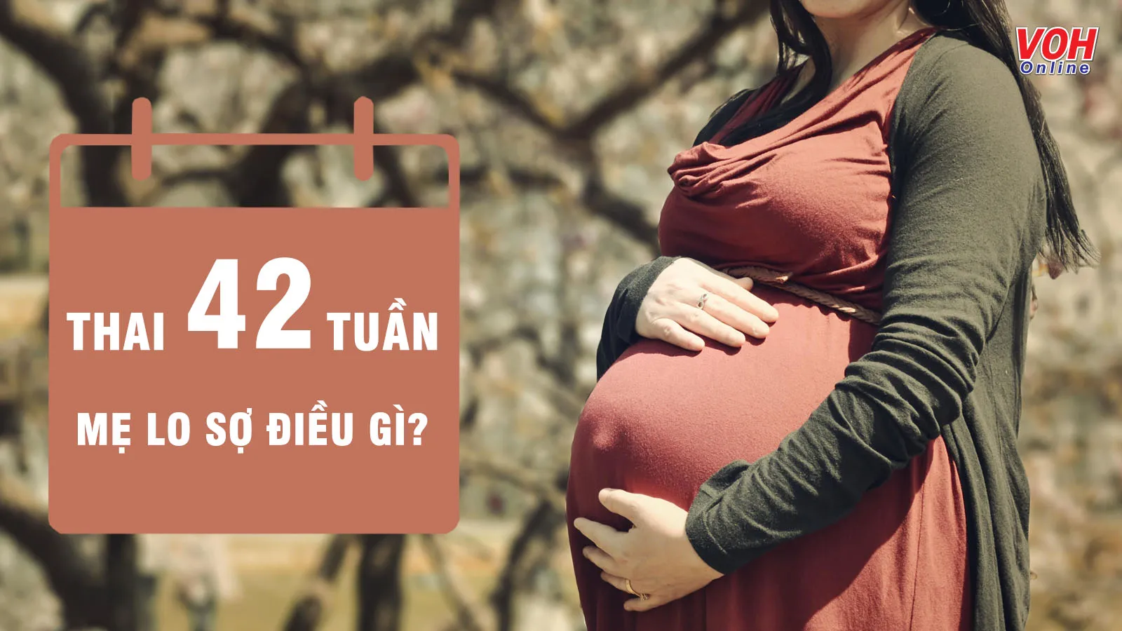 Điều mẹ cần biết khi thai nhi 42 tuần vẫn chưa có dấu hiệu sinh