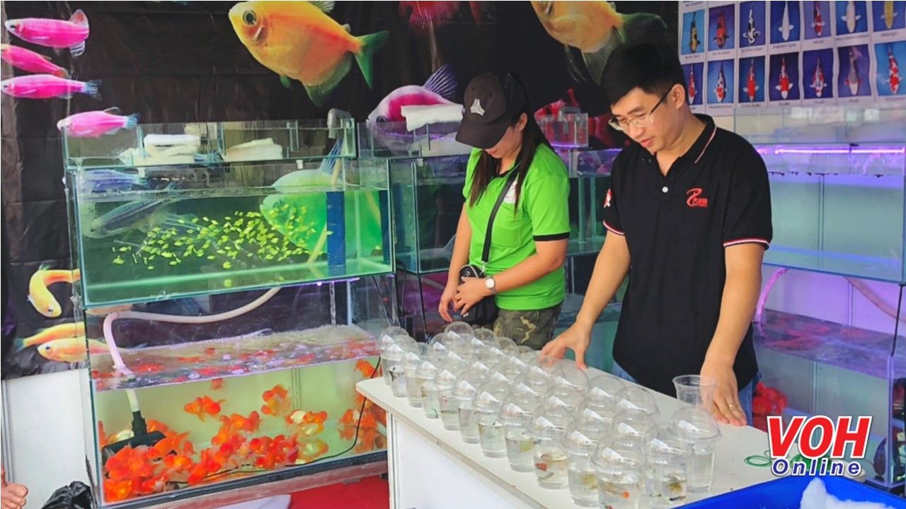 Hơn 70 nhà vườn, hợp tác xã quy tụ tại Tuần lễ sinh vật cảnh TPHCM năm 2020