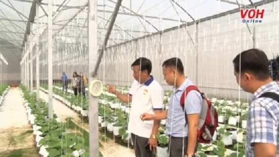 Xây dựng nền nông nghiệp Việt Nam an toàn