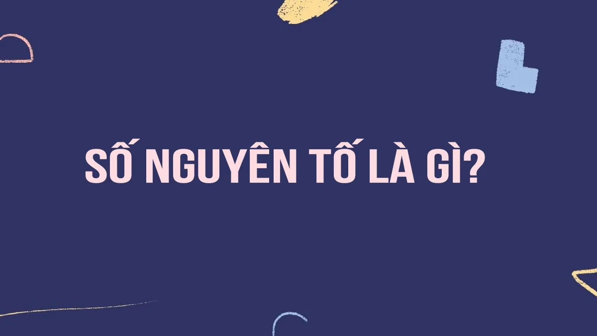 Số nguyên tố là gì? Định nghĩa và các dạng bài tập ứng dụng