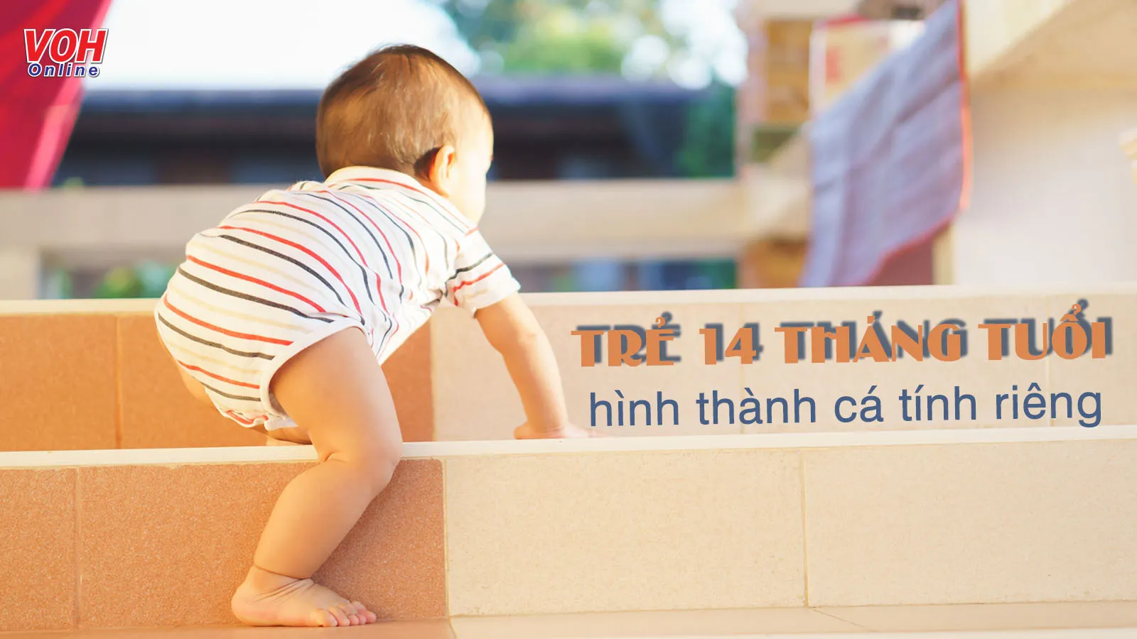 Trẻ 14 tháng tuổi: Hình thành cá tính cùng các kỹ năng xã hội