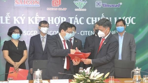 Nâng cao vị thế hàng Việt - Hướng đến phát triển sản xuất xanh - Kết nối thị trường bền vững