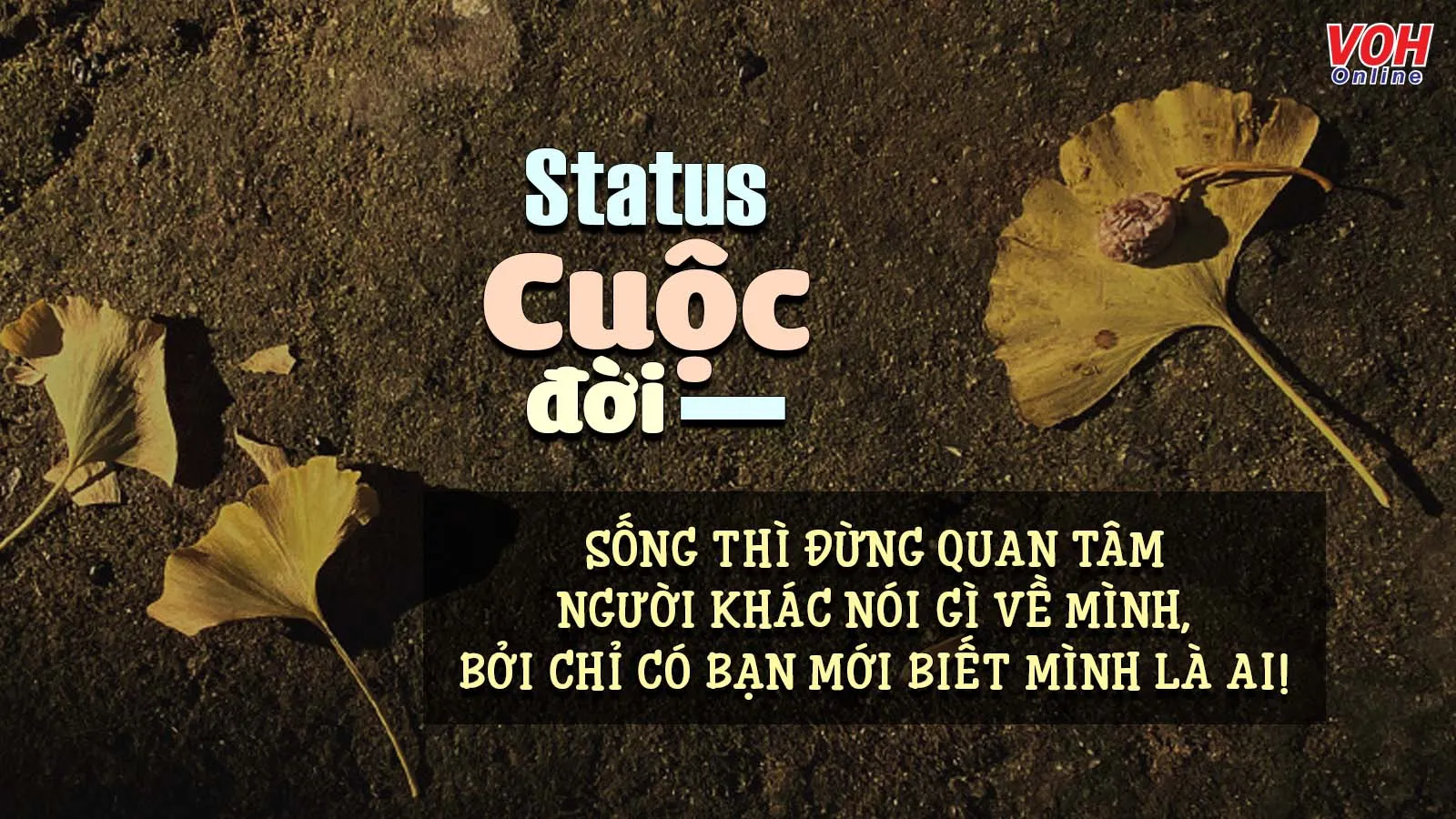 90 status về cuộc đời bạc bẽo, cap hay về cuộc đời buồn, sóng gió