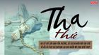 Tha thứ lỗi lầm chính là giải thoát cho bản thân