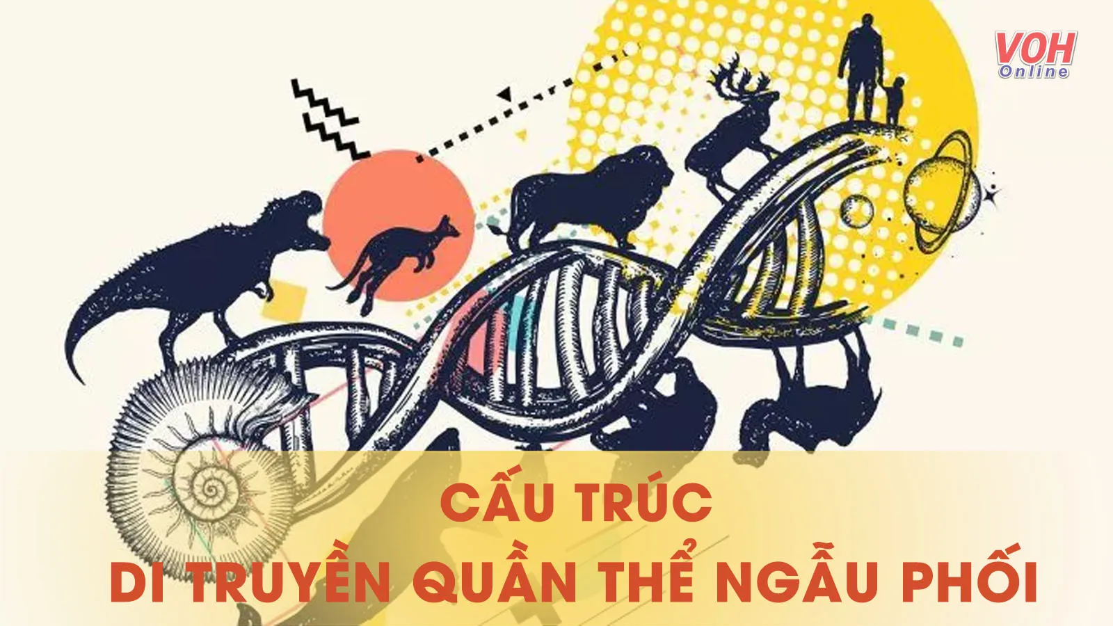 Lý thuyết di truyền quần thể ngẫu phối và một số bài tập ứng dụng