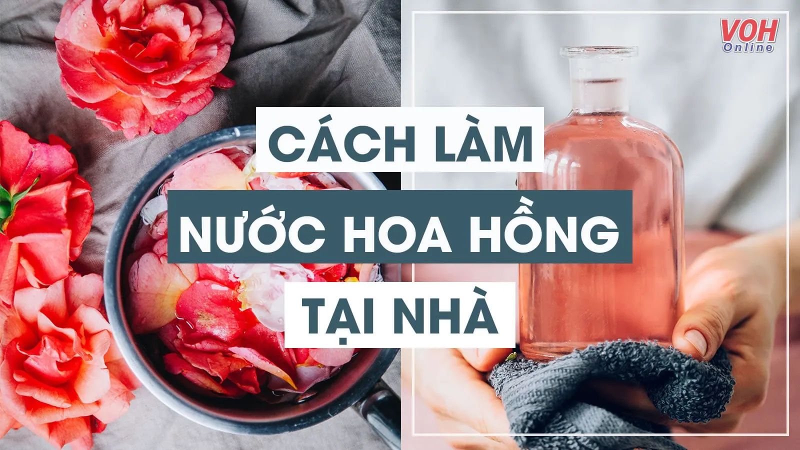 3 cách làm nước hoa hồng tại nhà đơn giản, an toàn, tự nhiên