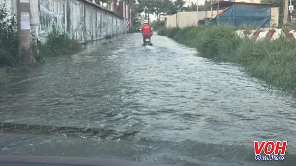 Tuần sau, miền Bắc đón rét hại - Nam bộ triều cường