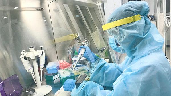 Các trường hợp F1 của bệnh nhân 1.291 đều âm tính với SARS-CoV-2