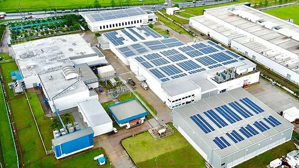 Vinh danh doanh nghiệp thực hiện tốt chống biến đổi khí hậu và bảo vệ rừng  năm 2020