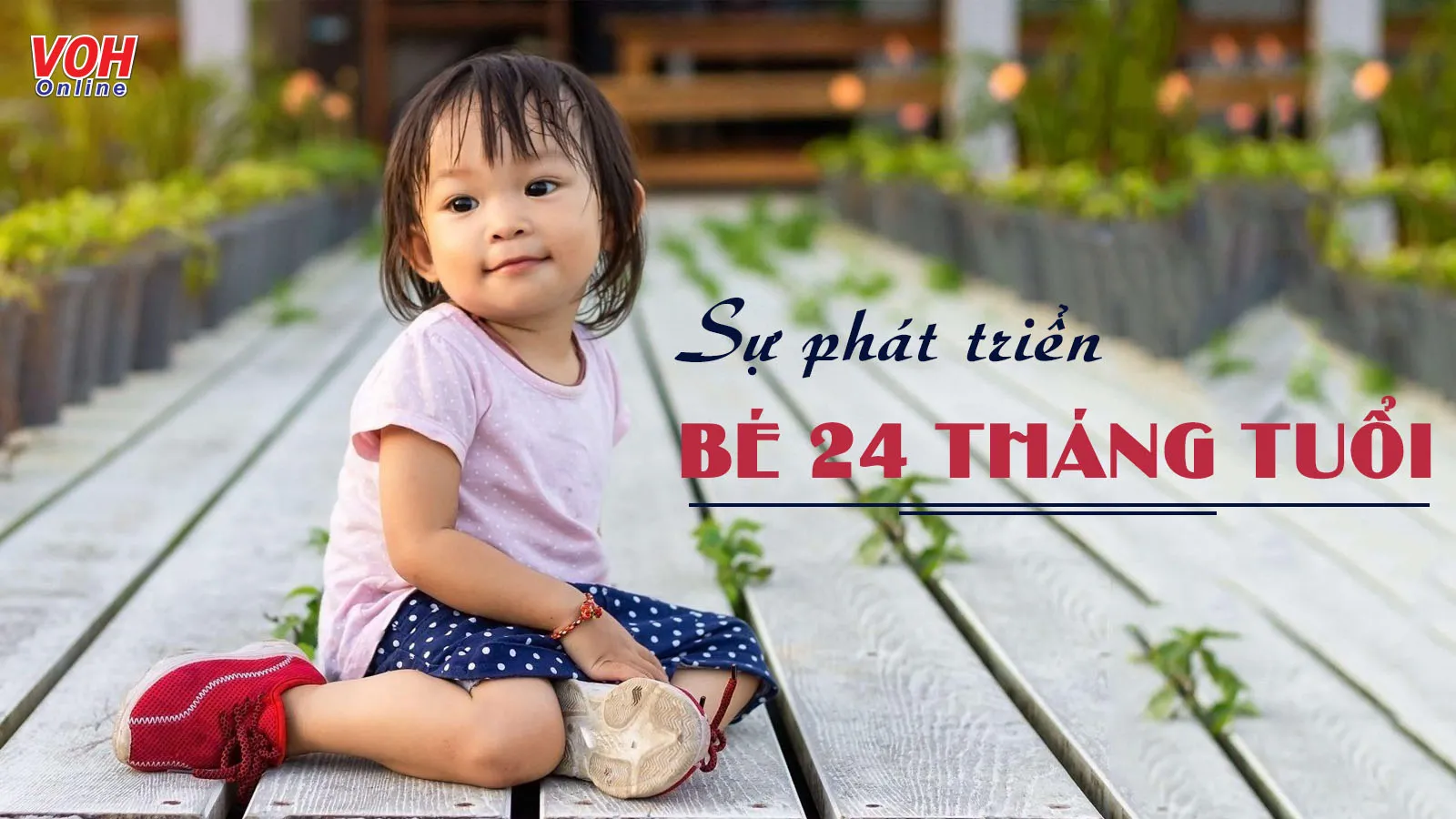 Trẻ 24 tháng tuổi cùng những mốc phát triển đáng nhớ