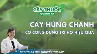 img thumb