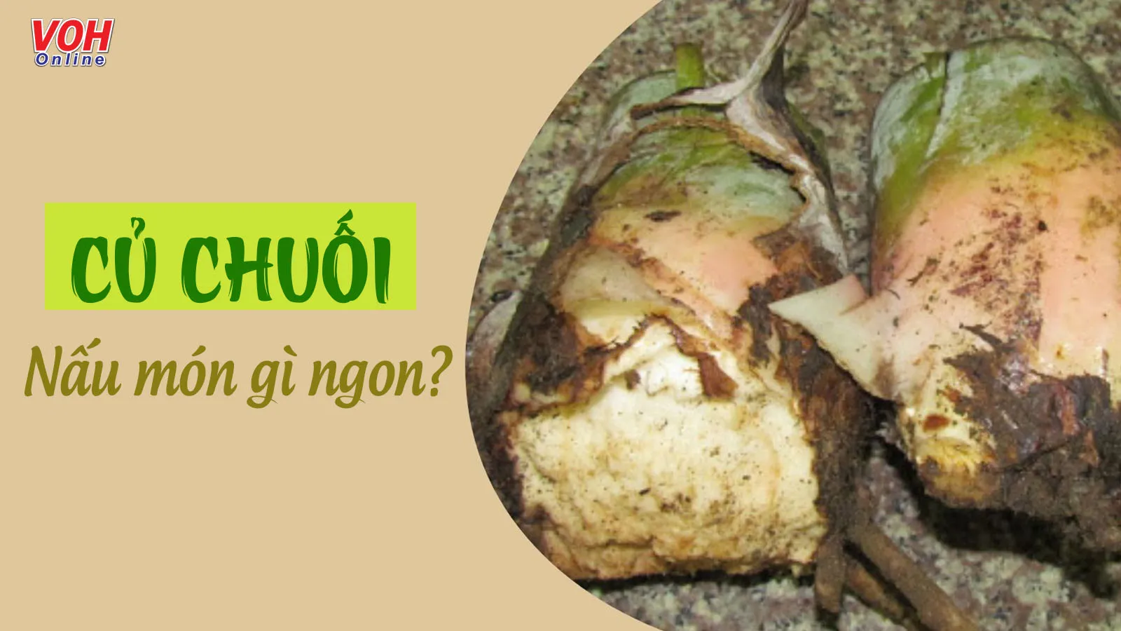 Củ chuối – lợi ích sức khỏe và các món ngon không thể bỏ qua