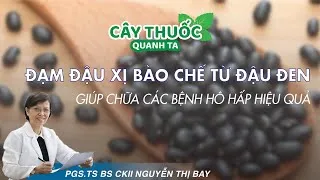 Đạm đậu xị - bài thuốc Đông y cực kì tốt phòng và chữa bệnh hô hấp