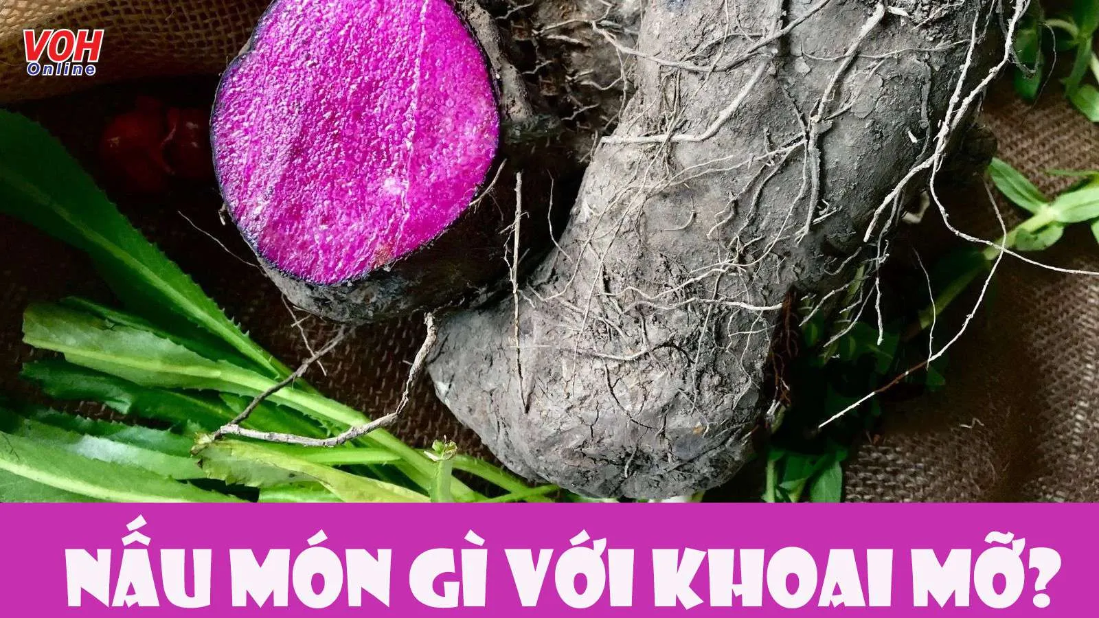 6 món ngon từ khoai mỡ không thử thì quá phí