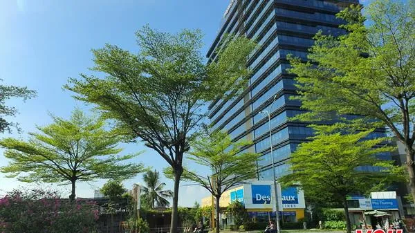 Dự báo thời tiết TPHCM cuối tuần (2-3/1): Thứ Bảy nhiều mây, mát dịu - Chủ Nhật có nắng, nhiệt độ cao nhất 32 độ C