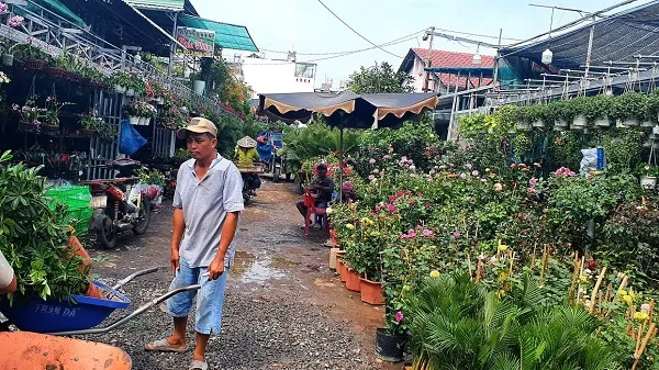 Bình quân đất nông nghiệp TPHCM giảm khoảng 500 đến 1000 hecta mỗi năm