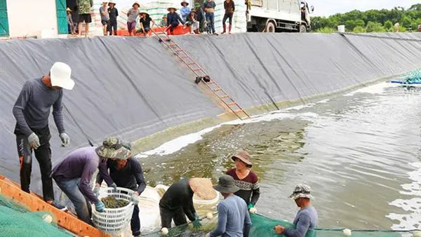 Huyện Tiên Yên (Quảng Ninh) đạt chuẩn nông thôn mới