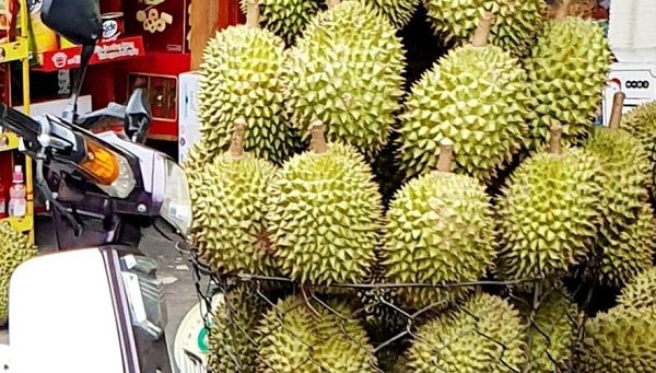 Giá cả thị trường hôm nay 19/1/2021: Sầu riêng trái vụ giá cao