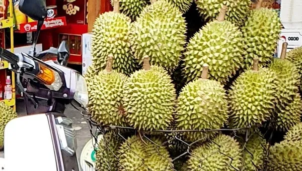 Giá cả thị trường hôm nay 19/1/2021: Sầu riêng trái vụ giá cao