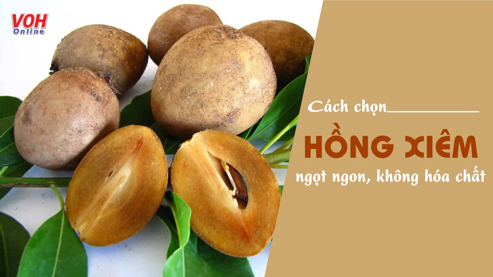 Cách chọn hồng xiêm già, ngọt ngon 10 quả chuẩn 10