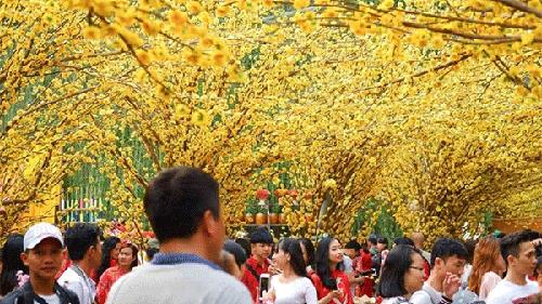 Lễ hội Tết Việt Tân Sửu 2021 - Không gian Tết độc đáo, thú vị