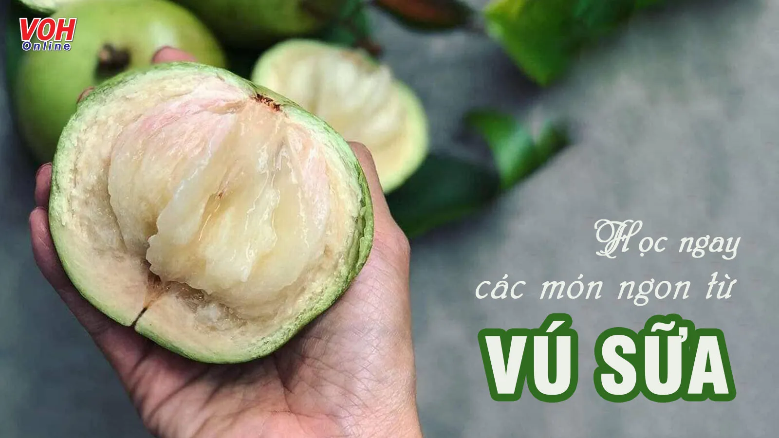 Vú sữa dầm và những món ăn ngon miệng, lạ mắt từ vú sữa