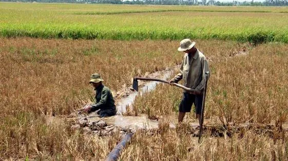 Những ngày Tết nguyên đán Tân Sửu, độ mặn các sông ở đồng bằng sông Cửu Long tăng cao