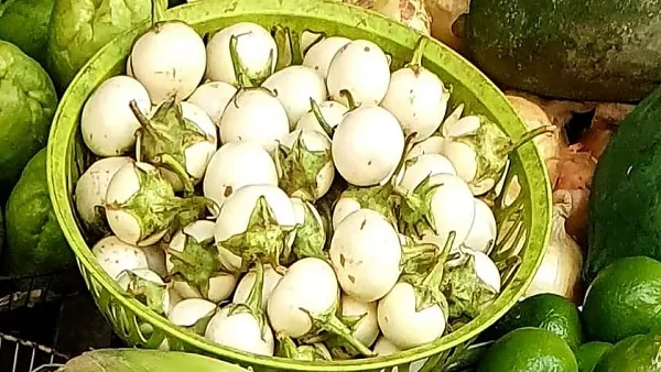 Giá cả thị trường hôm nay 2/1/2021: Cà pháo 8.000 đồng/kg