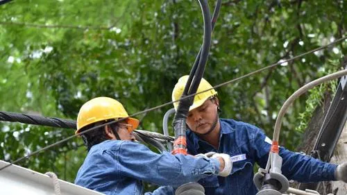 TPHCM: Chủ động cung cấp điện đầy đủ trong dịp Tết Nguyên đán 2021