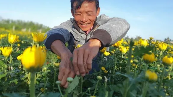 Thơm thảo tình người những ngày giáp Tết