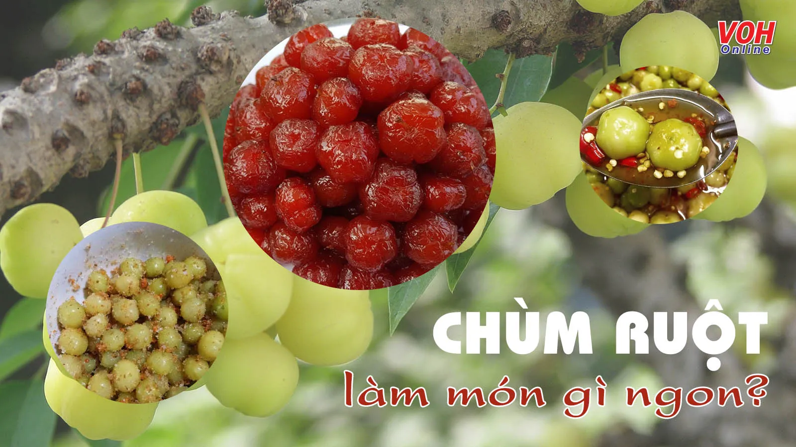 Chùm ruột làm món gì ngon? Có ngay 5 món không thể bỏ lỡ