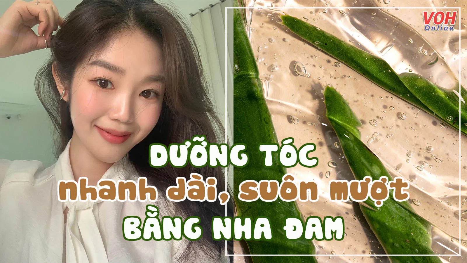 8 cách dưỡng tóc bằng nha đam đơn giản nhưng được khen ngợi hết lời