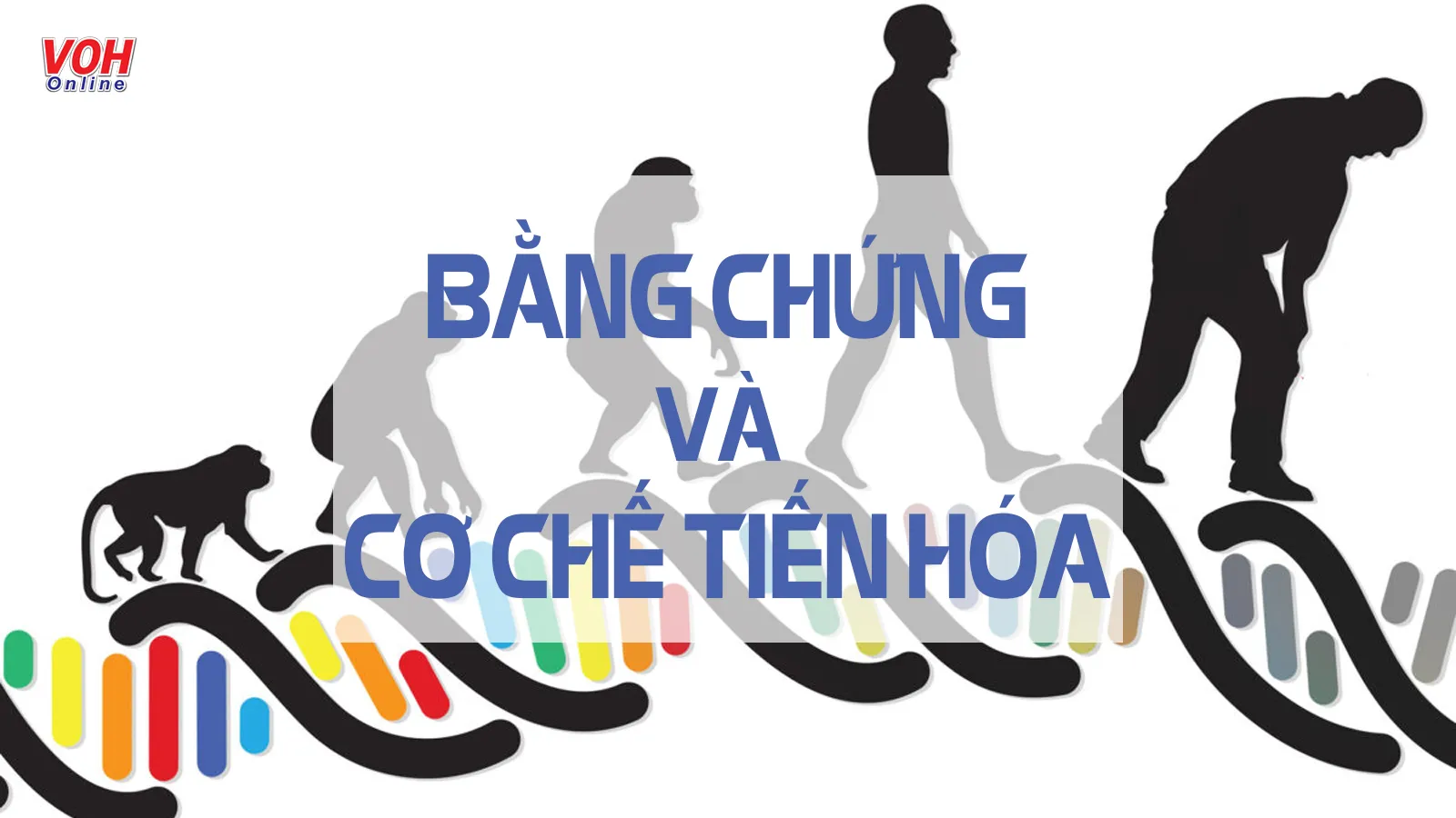 Tìm hiểu những bằng chứng và cơ chế tiến hóa