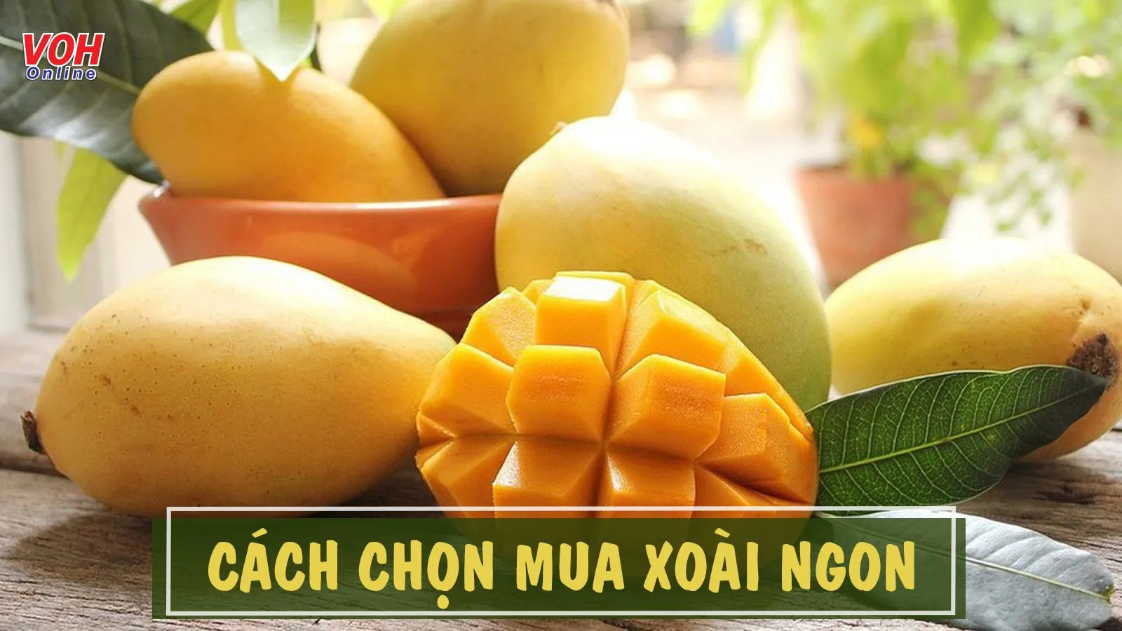 Cách chọn xoài ngon ai cũng nên biết