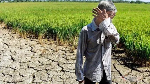 Dự báo thời tiết ngày mai 25/2: Thời tiết các vùng không có nhiều thay đổi