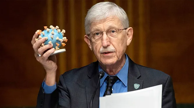 Giám đốc Viện Y tế Quốc gia Mỹ: Bệnh nhân COVID-19 đã chữa khỏi có thể mắc các bệnh mãn tính