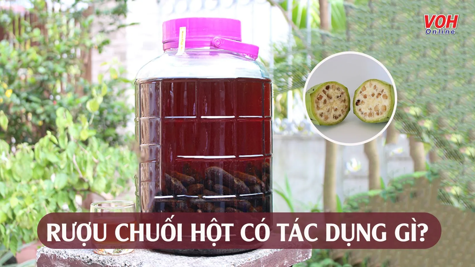 Rượu chuối hột: Hướng dẫn ngâm và sử dụng đúng cách
