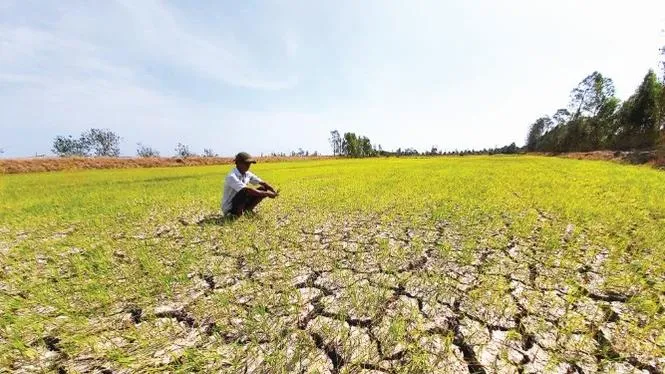 Hạn mặn năm 2021 cơ bản ứng phó thành công