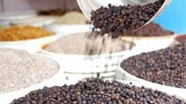 Giá tiêu ngày 15/3: Tăng vọt lên mốc 73.000 đồng/kg