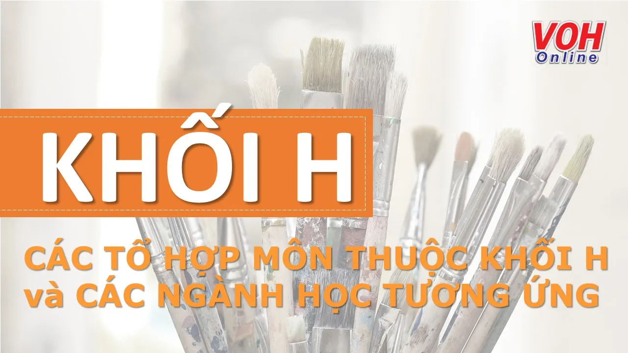 Khối H, tổ hợp môn thuộc khối H và các ngành học tương ứng