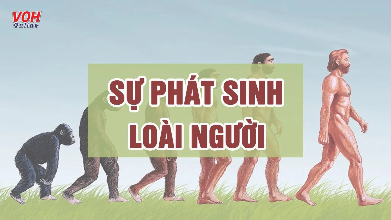 Tìm hiểu quá trình phát sinh loài người hiện đại