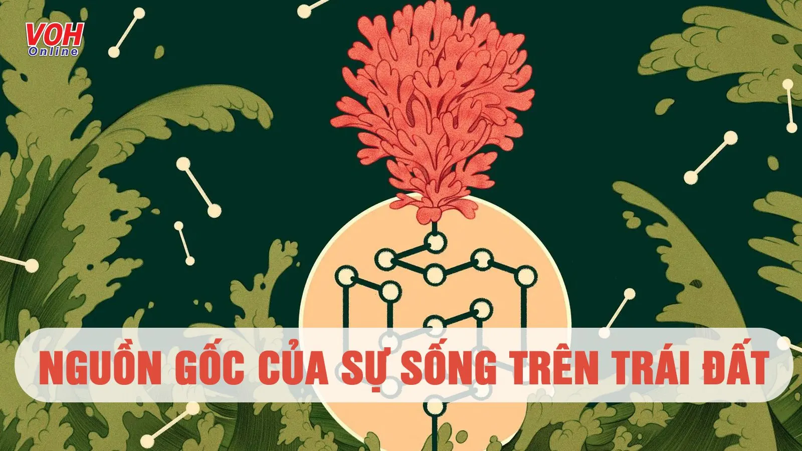 Tìm hiểu về nguồn gốc sự sống trên Trái Đất