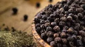 Giá tiêu ngày 19/3: Bứt phá chạm mốc 80.000 đồng/kg