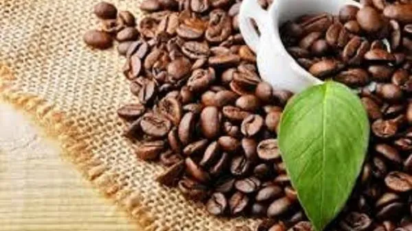 Giá cà phê ngày 23/3: Tăng 200-300 đồng/kg trên diện rộng