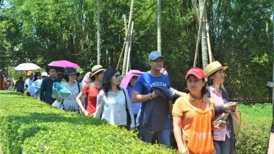 Du lịch mùa cao điểm hè 2021: Dự báo Gardenstay lên ngôi !