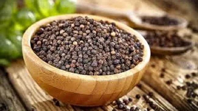 Giá tiêu ngày 27/3: Giảm 500 đồng/kg tại Gia Lai