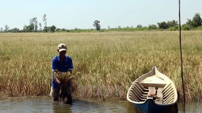 Dự báo thời tiết ngày mai 1/4: Xâm nhập mặn ở các sông Vàm Cỏ, Cửu Long