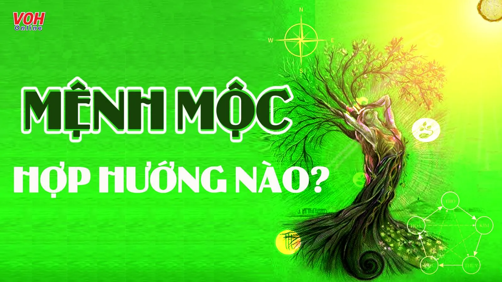 Người mệnh Mộc hợp hướng nào nhất và nên tránh hướng nào?