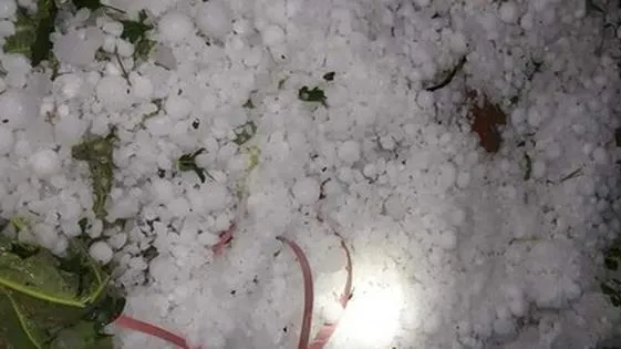 Dự báo thời tiết hôm nay 4/4: Vùng núi Bắc Bộ có khả năng xảy mưa đá